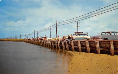 Fishing off the Sea Wall, Entrance to City Sea Isle City, New Jersey Postcard