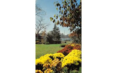 Autumn's Gold Smithville, New Jersey Postcard