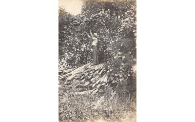 Man in trees Shiloh, New Jersey Postcard