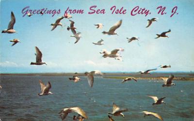 Greetings from Sea Isle City New Jersey Postcard