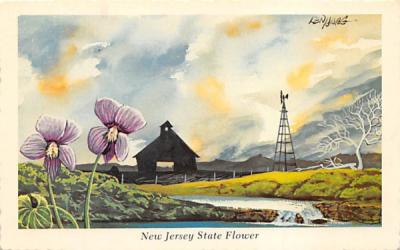 Purple Violet, New Jersey State Flower Postcard