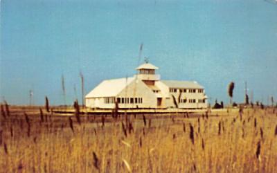 South Jersey Wetlands Institute Stone Harbor, New Jersey Postcard