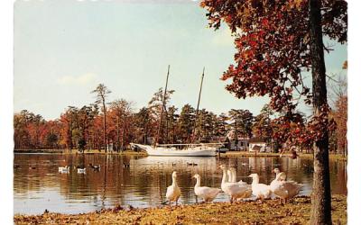 The Bugeye, Thomas M. Freeman Smithville, New Jersey Postcard