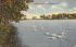 Swans on the Lake Spring Lake, New Jersey Postcard