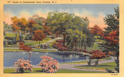 Scene in Cadwalader Park Trenton, New Jersey Postcard