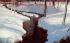 A Babbling Brook in Winter Wonderland Tuckerton, New Jersey Postcard