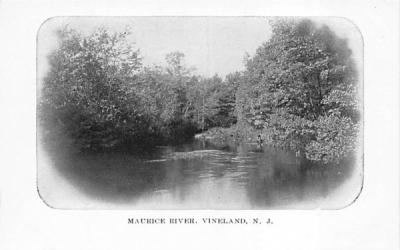 Maurice River Vineland, New Jersey Postcard