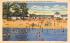 Beach and Bath House Vineland, New Jersey Postcard
