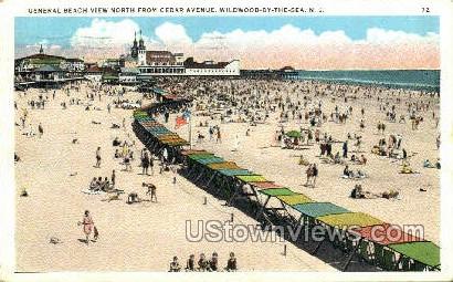 Cedar Avenue - Wildwood-by-the Sea, New Jersey NJ Postcard