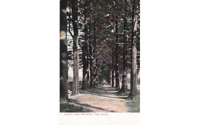 Lover's Lane Woodbury, New Jersey Postcard