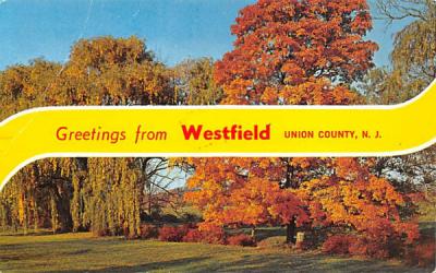 Greetings from Westfield Union County, N.J., USA New Jersey Postcard