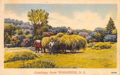 Greetings from Woodbine, N. J., USA New Jersey Postcard