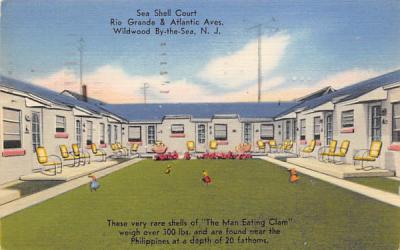 Sea Shell Court Wildwood, New Jersey Postcard