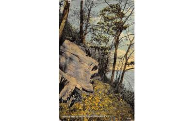 Wooded Path on the Palisades Weehawken, New Jersey Postcard