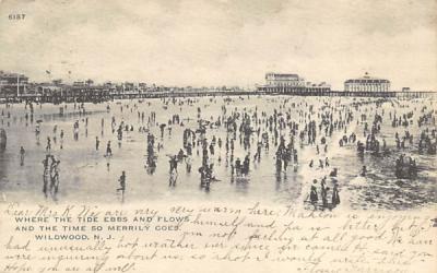Where the Tide Ebbs and Flows Wildwood, New Jersey Postcard
