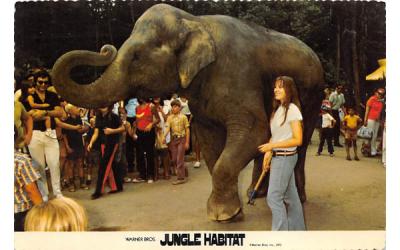 Jungle Habitat West Milford, New Jersey Postcard