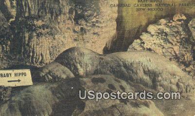 Baby Hippo - Carlsbad Caverns National Park, New Mexico NM Postcard