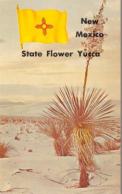 State Flower NM
