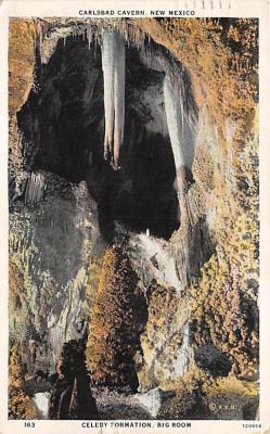 Carlsbad Caverns NM