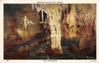 Carlsbad Cavern NM