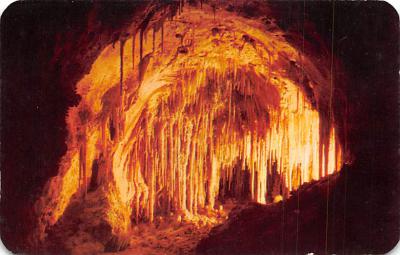 Carlsbad Caverns  NM