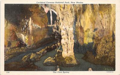 Carlsbad Caverns National Park NM