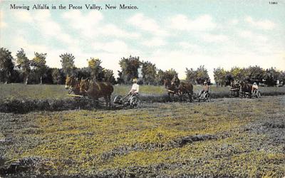 Pecos Valley NM