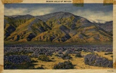 Desert Hills of Nevada - Misc Postcard