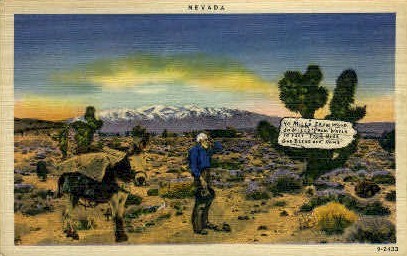 Nevada - Misc Postcard