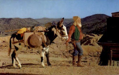 Old Nevada Prospector - Misc Postcard