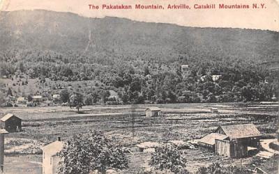 Pakatakan Mountains Arkville, New York Postcard