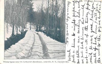 Winter Scene near Dr Lefkovic's Residence Arkville, New York Postcard