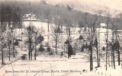Winter Scene near Dr Lefkovic's Residence Arkville, New York Postcard