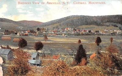 Bird's Eye View Arkville, New York Postcard