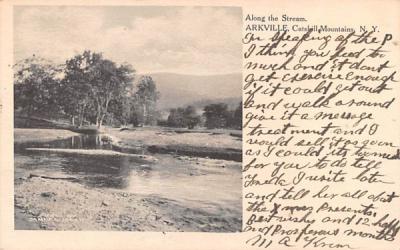 Along the Stream Arkville, New York Postcard