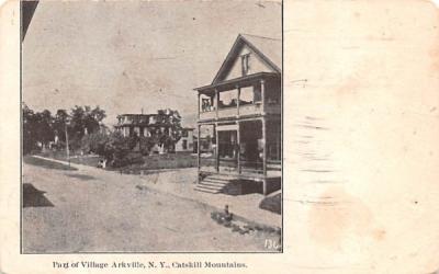 Part of Vilalge Arkville, New York Postcard