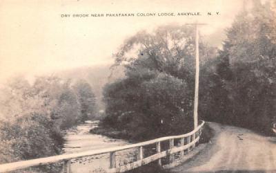 Dry Brook Stream Arkville, New York Postcard