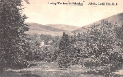 Looking West from Pakatakan Arkville, New York Postcard