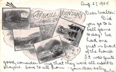 Catskill Mountains Arkville, New York Postcard