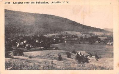 Looking over the Pakatakan Arkville, New York Postcard