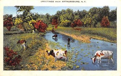 Greetings from Arthursburg, New York Postcard