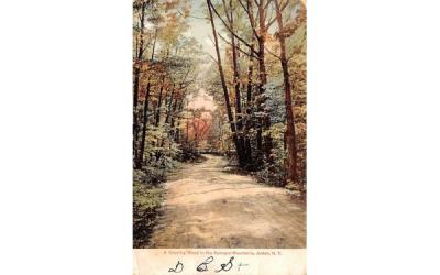 Country Road Arden, New York Postcard