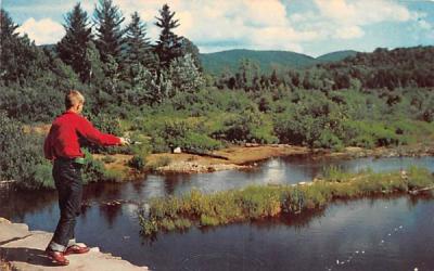 Fishing Adirondack Mountains, New York Postcard