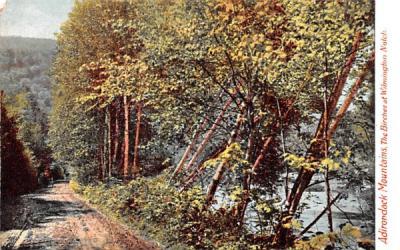 The Birches at Wilmington Notch Adirondack Mountains, New York Postcard