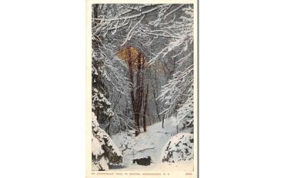 Adirondack Trail in Winter Adirondack Mountains, New York Postcard