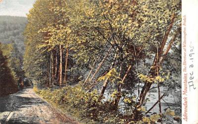 The birches that Wilmington Notch Adirondack Mountains, New York Postcard