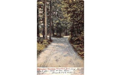 Forest Home Road Adirondack Mountains, New York Postcard
