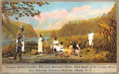 Iroquois Indian exhibit Albany, New York Postcard
