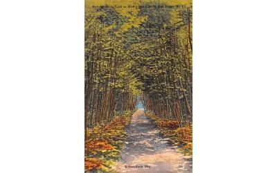 Natural Arch, Trail to Nick's Lake Adirondack Mountains, New York Postcard