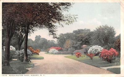 Washington Park Albany, New York Postcard